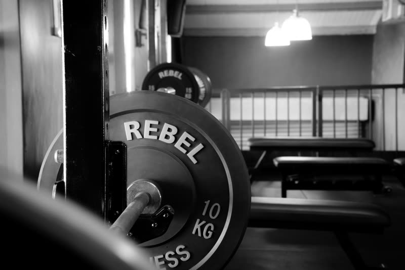 Loaded barbell with bumper plates
